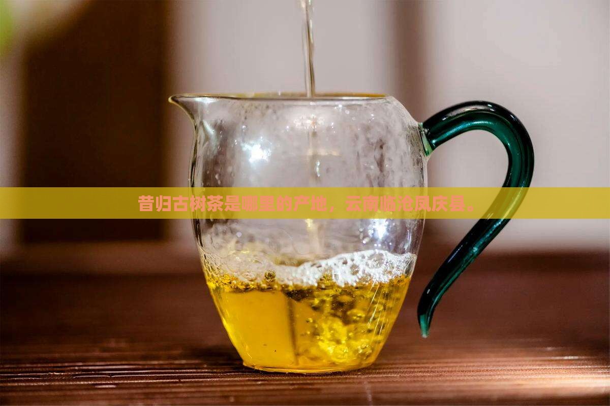 昔归古树茶是哪里的产地
