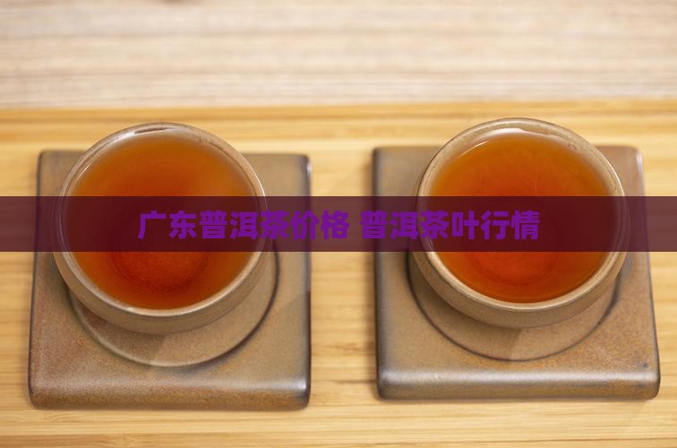 广东供销勐舍普洱茶价格