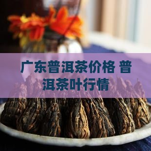 广东供销勐舍普洱茶价格