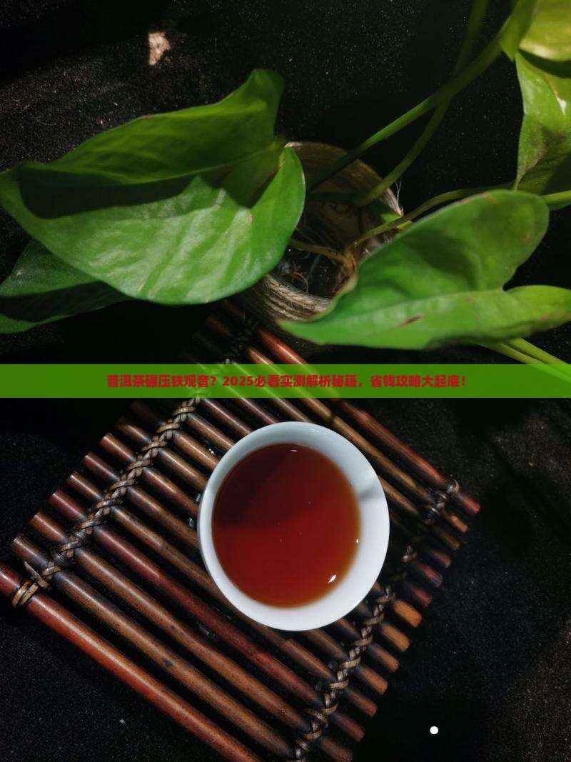 普洱茶过比铁观音