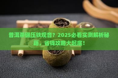 普洱茶过比铁观音