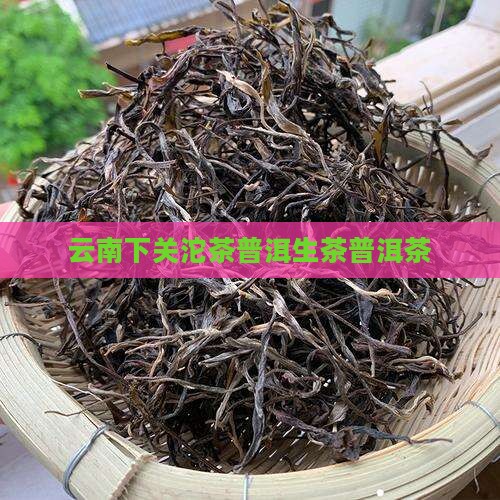 下关沱茶云南普洱茶生茶