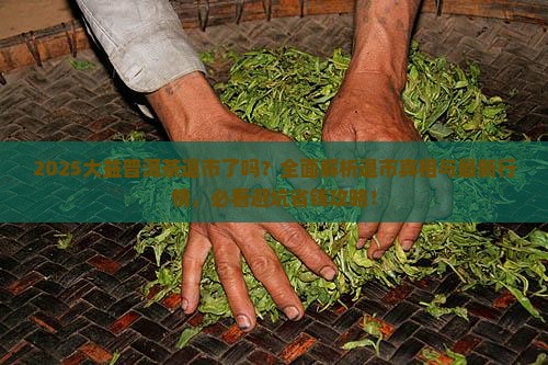 大益普洱茶退市了吗