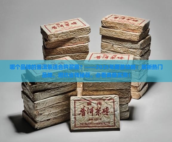 哪个品牌的普洱茶适合购买藏