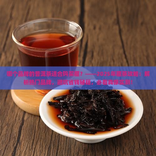 哪个品牌的普洱茶适合购买藏