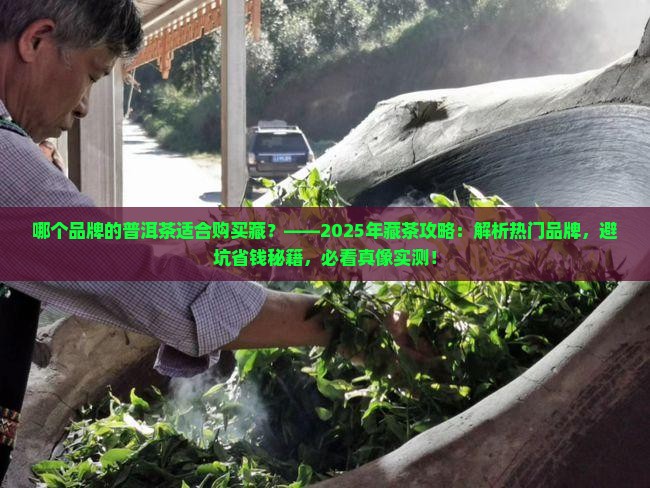哪个品牌的普洱茶适合购买藏