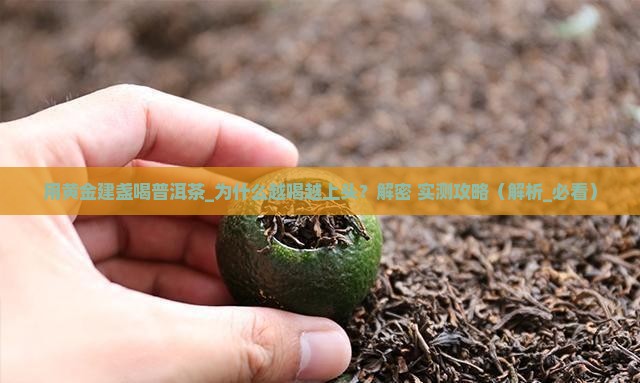 用黄金建盏喝普洱茶