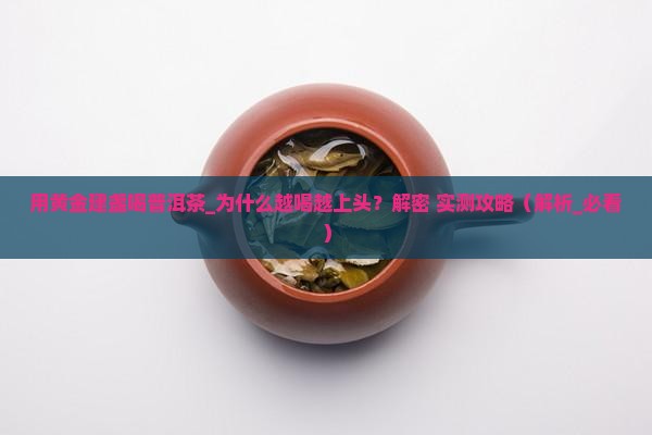 用黄金建盏喝普洱茶