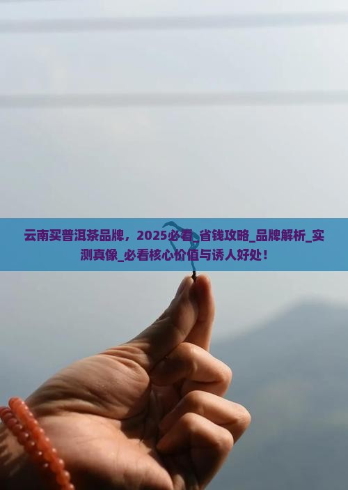 云南买普洱茶品牌