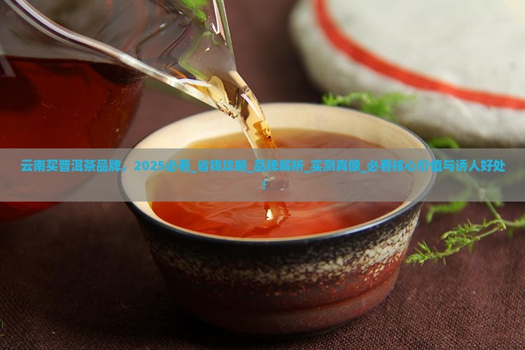 云南买普洱茶品牌