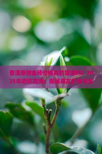 普洱茶饼金砖价格