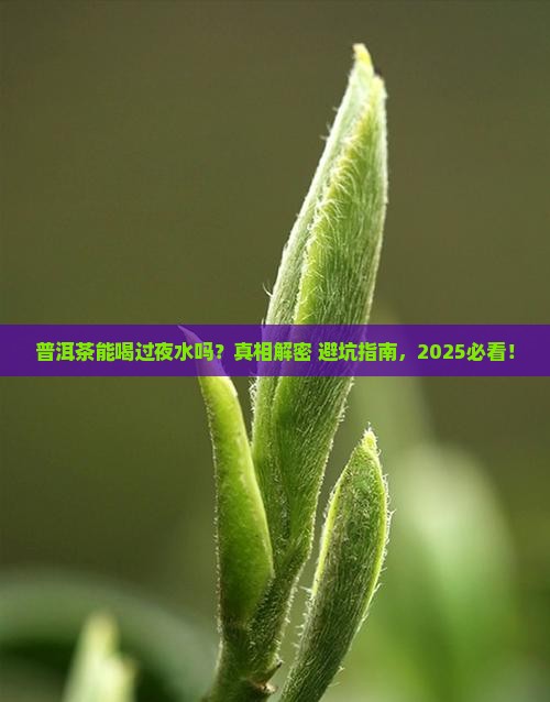 普洱茶可以喝过夜水吗