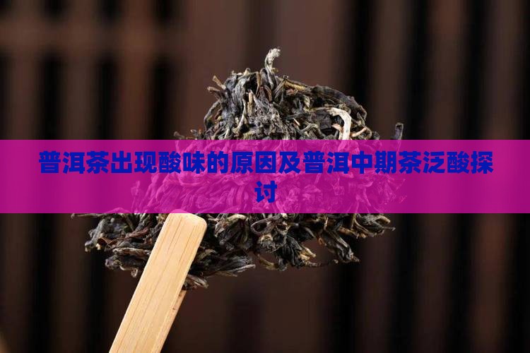 普洱茶中期茶泛酸