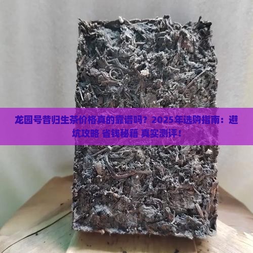 龙园号昔归生茶价格