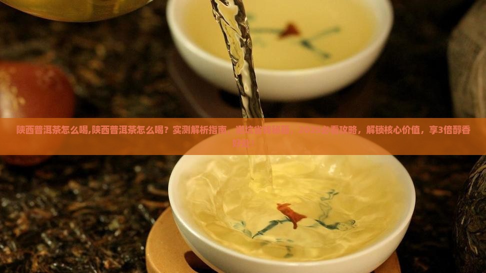 陕西普洱茶怎么喝