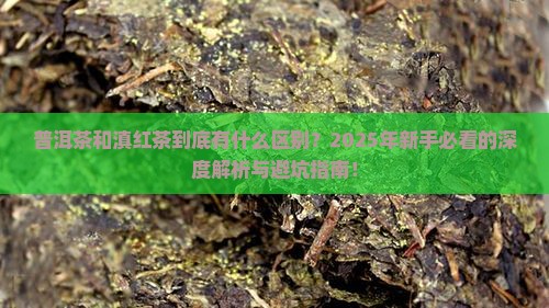 与普洱茶滇红茶的区别