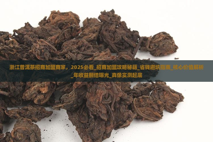 浙江普洱茶招商加盟商家