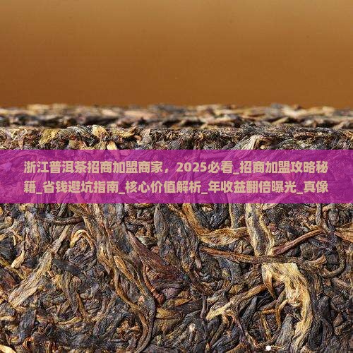 浙江普洱茶招商加盟商家