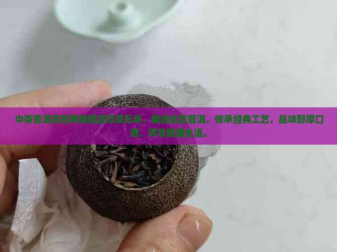 中茶普洱茶官网旗舰店印级五年