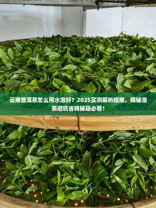 云南普洱茶怎么用水泡好
