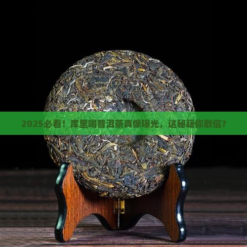 喝普洱茶的库里