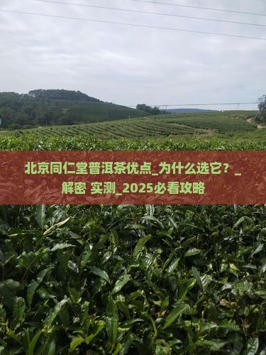 北京同仁堂普洱茶优点