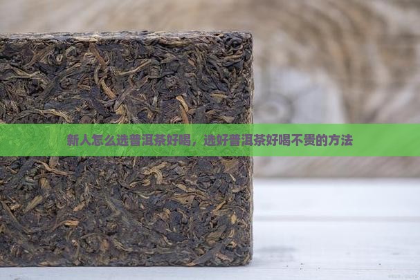 新人怎么选普洱茶好喝