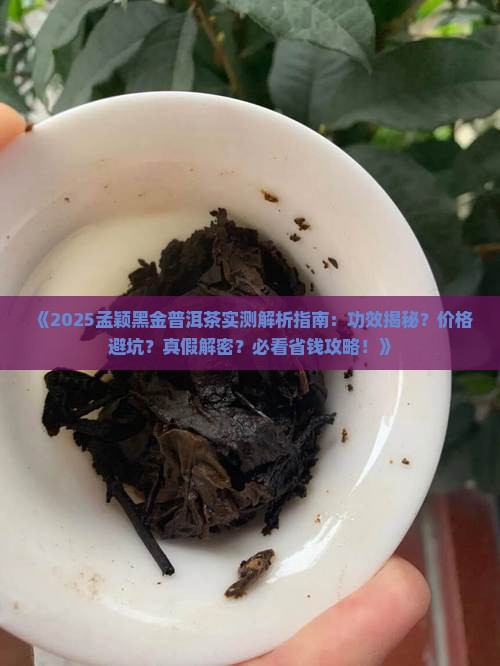 孟颖黑金普洱茶