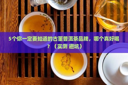 古董普洱茶哪个牌子好喝
