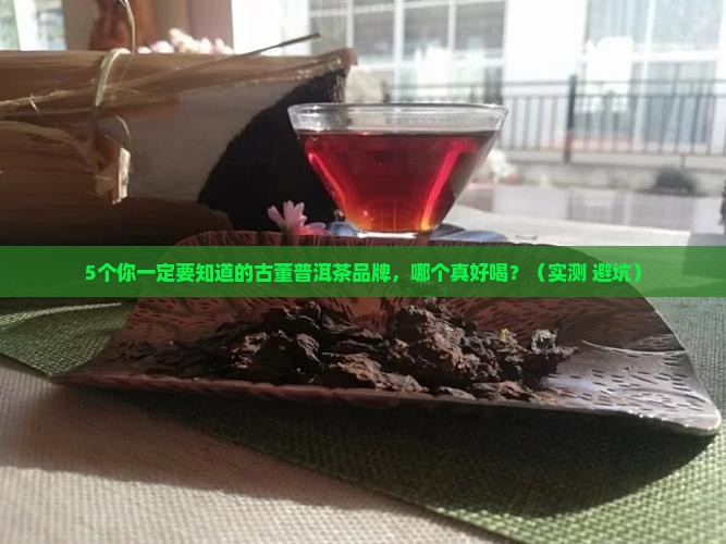 古董普洱茶哪个牌子好喝