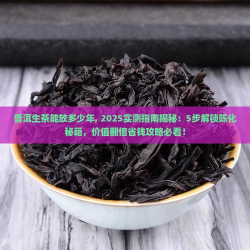 普洱生茶能放多少年