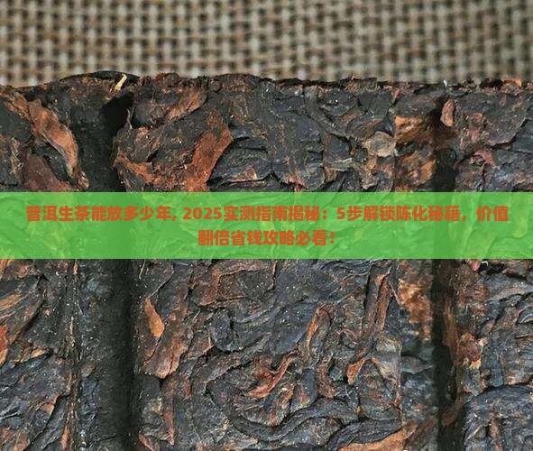 普洱生茶能放多少年