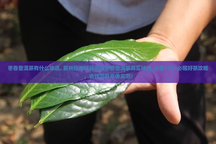 枣香普洱茶有什么味道