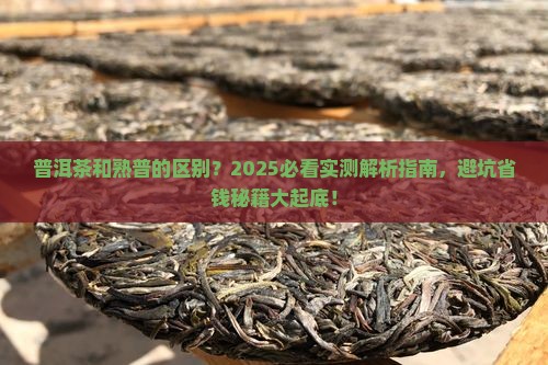 普洱茶和熟普的区别