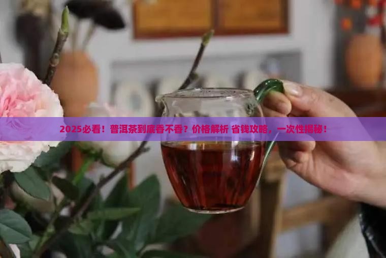 普洱茶好喝吗贵不贵