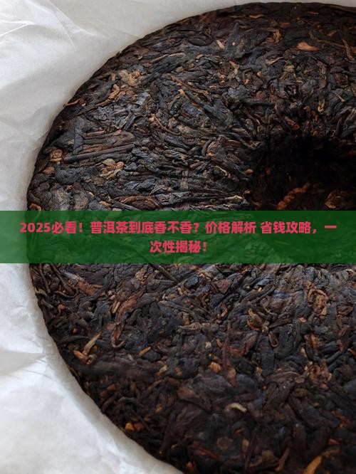 普洱茶好喝吗贵不贵