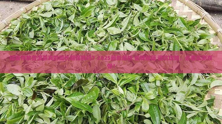 铝袋可以长期存放普洱茶吗