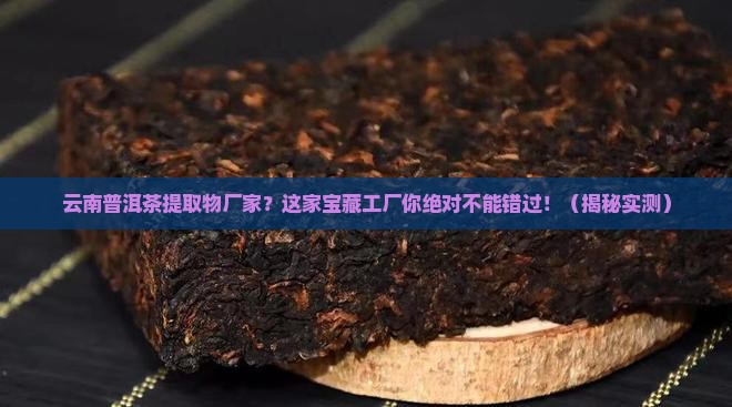云南普洱茶提取物厂家