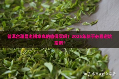 普洱合和昌老班章