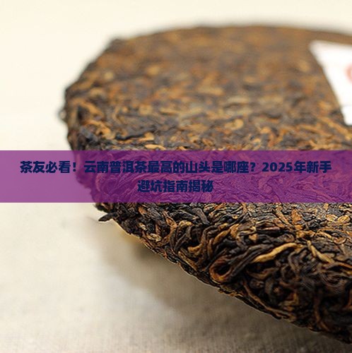 普洱茶最高的山头是什么山
