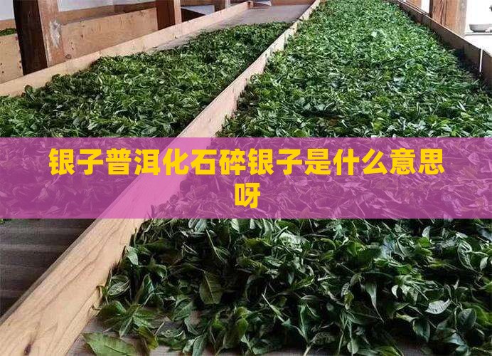 茶化石碎银子是什么意思呀