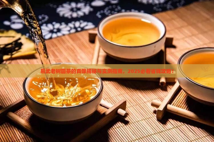 中茶易武老树圆茶