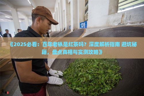 百年老枞是红茶吗