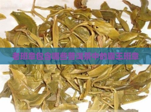老班章包含哪些茶