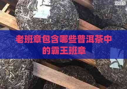 老班章包含哪些茶