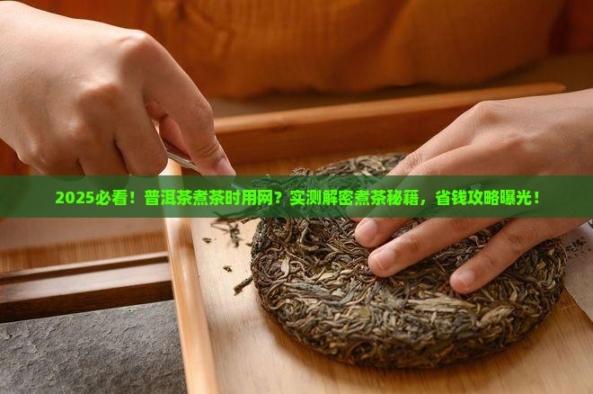 普洱茶煮茶时用网吗