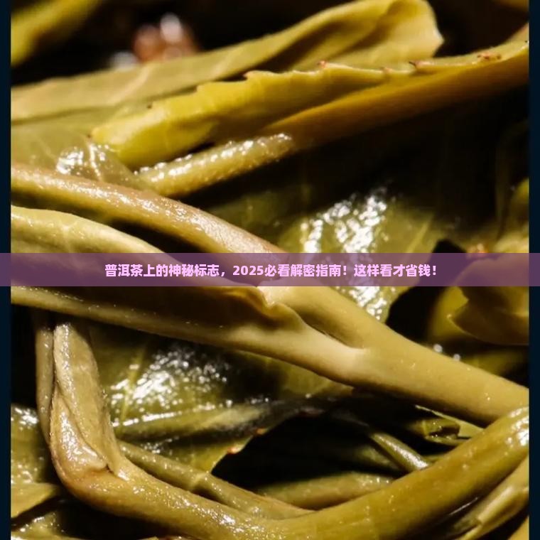 普洱茶后面的标志是啥意思