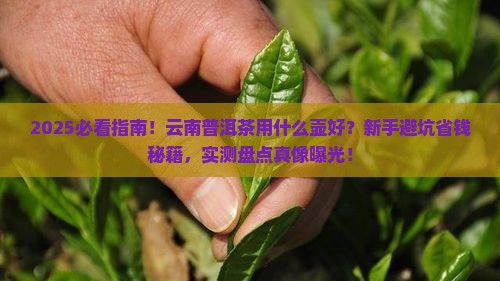 云南普洱茶用什么壶好