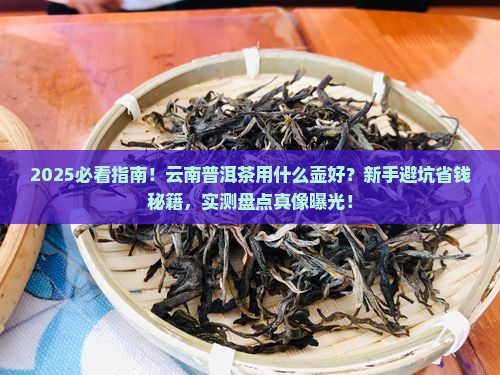 云南普洱茶用什么壶好