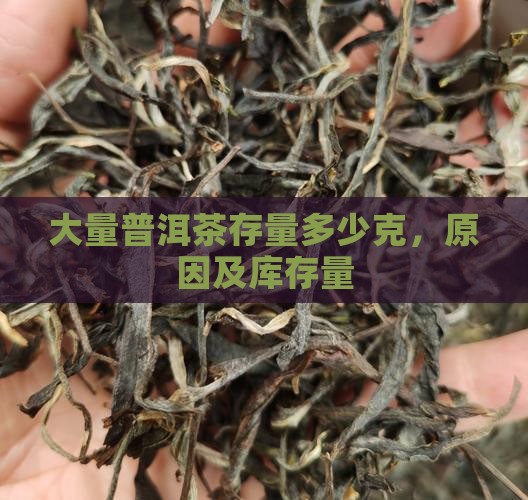 大量普洱茶存量